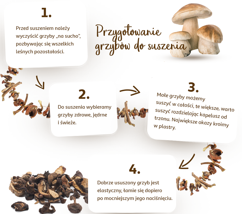 Suszenie grzybów